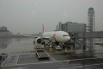 JAL 773 from the JAL lounge.