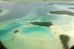 Corals yet again?