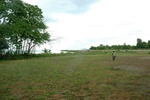 GZO/AGGN rwy and ramp agent.